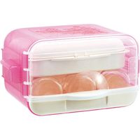 ピジョン 電子レンジスチーム＆薬液消毒ケース　そのまま保管　1個入×2セット（直送品）