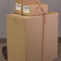 Nite Ize NI00698 フィギュア9 L 1個（直送品）