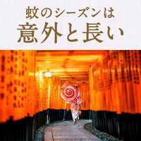 蚊 駆除 蚊取り器 アースノーマット 取替えボトル 120日用 無香料液体蚊取り 詰め替え用 殺虫剤 室内  1箱（2本入） アース製薬