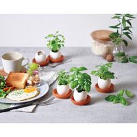 聖新陶芸 聖新 EG-4806 エッグリング エコ ラベンダー 1個（直送品）