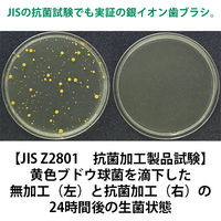 Ciメディカル CiPRO AG+(抗菌シルバー毛使用)M(ふつう) 1800 1箱(50本入)