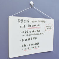 マグエックス ペーパーホワイトボード（600×430mm）1セット（10枚：2枚入×5）MPWH-A2