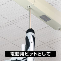 アネックスツール 差替＋ービット2本組　＋2×ー6×135 395DB2　1セット