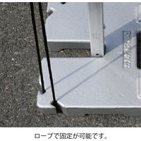 サクラコーポレーション 加重プレート　10kg シルバー粉体塗装 kaacc001 1枚（直送品）