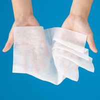 【おしりふき】【大人用/流せない】おしりふきタオル　1セット(600枚：60枚入×10パック)） 昭和紙工 オリジナル