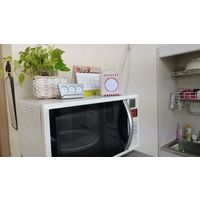 オーシーアール 小型オゾン脱臭機オゾンエアーサラス ピンク SA-1 PK 1台