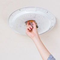 アイリスオーヤマ LEDシーリングライト SeriesL 8畳用　調光 CEAー2008D