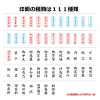 シヤチハタ ビジネス印 キャップレスB型 赤 転送不要 タテ角丸枠 X2-B-028V2 1個