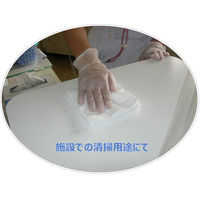 【不織布ウエス】 大王製紙 ストロングタオルE50 250×250mm ホワイト 1パック（100枚入）