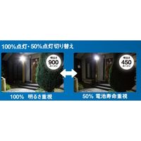 ムサシ S-220L 5Wx2灯 LEDソーラーセンサーライト 1台