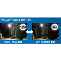 ムサシ S-330L 5Wx3灯 LEDソーラーセンサーライト 1台