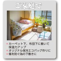 ハインズワーク アルミエアーシート/アルプチ君 AP1200 4582218172565 1枚