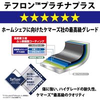 センレン閃ＩＨ　フライパン２０ 4977449013907 1個 北陸アルミニウム（直送品）