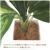 ササガワ フェイクグリーン・人工観葉植物 ドラセナ Mサイズ 32-8709 1個（直送品）