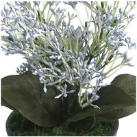 ササガワ フェイクグリーン・人工観葉植物 ブルースキニア ミニサイズ 32-8703 1個（直送品）