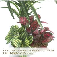 ササガワ フェイクグリーン・人工観葉植物 ユッカ寄植え Sサイズ 32-8707 1個（直送品）