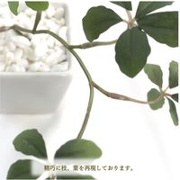 ササガワ フェイクグリーン・人工観葉植物 シュガーバイン WHT Sサイズ 32-8705 1個（直送品）