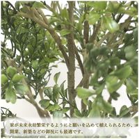 ササガワ フェイクグリーン・人工観葉植物 ボックスウッド Mサイズ 32-8710 1個（直送品）