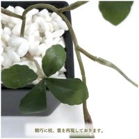 ササガワ フェイクグリーン・人工観葉植物 シュガーバイン BLK Sサイズ 32-8706 1個（直送品）