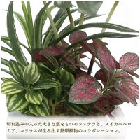 ササガワ フェイクグリーン・人工観葉植物 モンステラ寄植え Sサイズ 32-8708 1個（直送品）