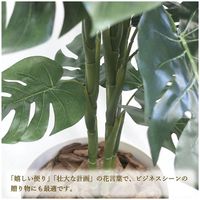 ササガワ フェイクグリーン・人工観葉植物 モンステラ Lサイズ 32-8717 1個（直送品）