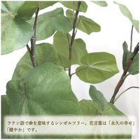 ササガワ フェイクグリーン・人工観葉植物 ウンベラータ Lサイズ 32-8722 1個（直送品）