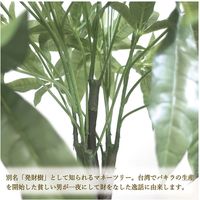 ササガワ フェイクグリーン・人工観葉植物 パキラ Lサイズ 32-8721 1個（直送品）