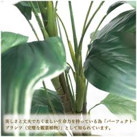 ササガワ フェイクグリーン・人工観葉植物 ホスタ Lサイズ 32-8720 1個（直送品）