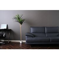 不二貿易 フェイクグリーン ドラセナ コンシンネ 幅800×奥行800×高さ1480mm 52692 1個（直送品）