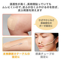 ニチバン スキナゲート ピタット 25mm×5m SGP25 1箱（12巻入）