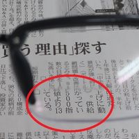 エスコ 保護めがね(x2.5ルーペ付) EA800AS-3 1セット(3個)（直送品）