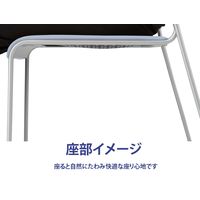 藤沢工業 TOKIO NSB・NSWシリーズ スタッキングチェア レザー NSB-T10 L-S ライトブルー 1セット（4脚入）（取寄品）