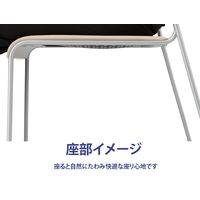 藤沢工業 TOKIO NSB・NSWシリーズ スタッキングチェア レザー NSB-T10 L-S ライトベージュ 1セット（4脚入）（取寄品）