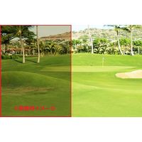 サングラス ブラック 男女兼用 ビビッドビジョン 10490 2個 トレードワン（直送品）