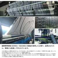 萩原 サークル柄 国産ラグ バロン 1850×2400mm グリーン 270042286 1枚（直送品）