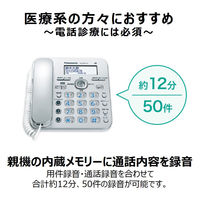 パナソニック コードレス電話機（子機2台付き）シルバー VE-GD37DW-S