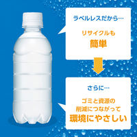 大塚製薬 ポカリスエット 300ml ラベルレス 1セット(48本)