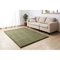 アイリスオーヤマ ラ・クッションラグ　ACRB-1318　グリーン　1個（直送品）