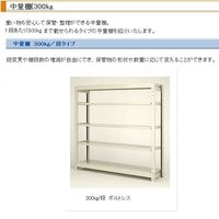 エスコ 1795x600x1800mm/300kg/5段 スチール棚 EA976AH-180B 1台(1個)（直送品）