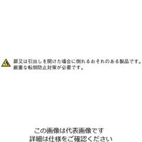 エスコ 900x450x2060mm 収納庫(両開き) EA954DJ-51 1台（直送品）