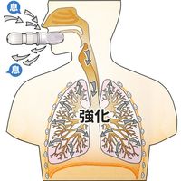 アローズ 呼吸器官筋力訓練器「ウルトラブレス」 a23858 1個（直送品）