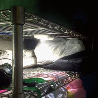 プロスタイルツール（PROSTYLE TOOL） どこでもランプ ダイヤル調光式 PHY-2065 1個（直送品）