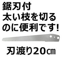 大進 軽量伸縮式高枝切鋏長刃 DS-C1630 1本