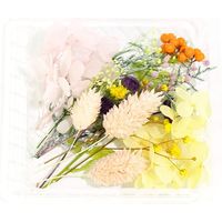 ニチリウ永瀬 ハーバリウムフルセット MIX 4933136872134 1個（直送品）