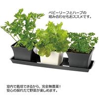 リッチェル ベビーリーフプランター40型N ダークグレー 4973655704622 1個（直送品）