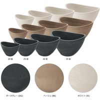 リッチェル ボタニーバルカボール20型 ベージュ 4973655748022 1個