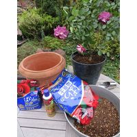 住友化学園芸 マイローズ ばらの培養土 10L 4975292603566 1個