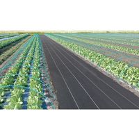 日本マタイ 強力防草クロスシート(ミドル) 2×50mシカン巻 4989156105882 1個