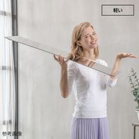 堀内鏡工業 鏡 安心・安全割れないミラー BIGサイズ SM-08 1個 4-1976-08（直送品）