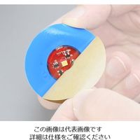 Spinlock 水中視認ライト LumeーOn 2個入 DW-LMN 1パック(2個) 4-2992-01（直送品）